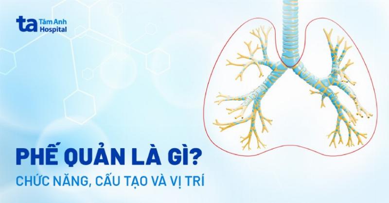 Bo chuyen doi xuc tac o to: Cau tao va vi tri, chuc nang loc khi thai